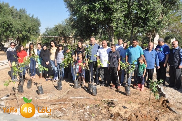 ashjar taso 0328 (1).JPG